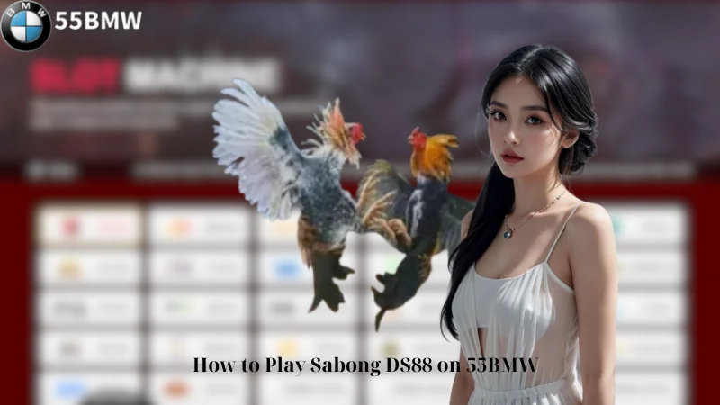 How to Play Sabong DS88 on 55BMW