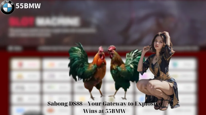 Sabong DS88 - Your Gateway to Explosive Wins at 55BMW