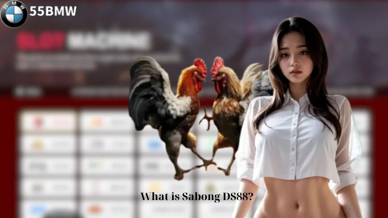 What is Sabong DS88?