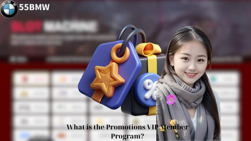 What is the Promotions VIP Member Program?