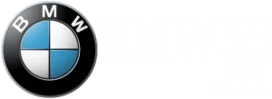 bmw55 logo